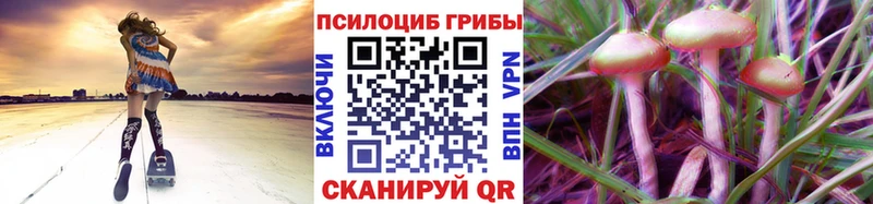 Псилоцибиновые грибы мицелий  Абакан 